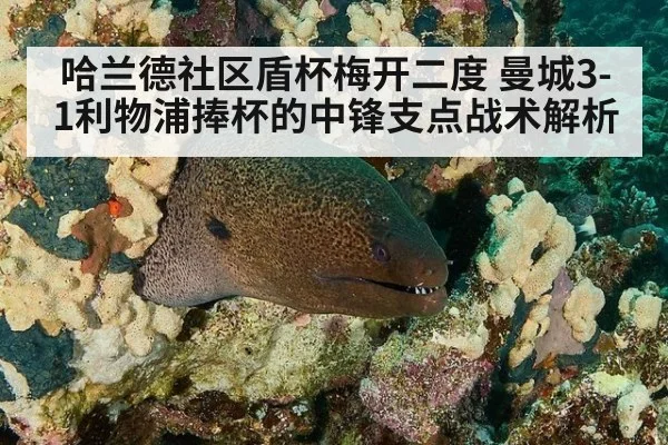哈兰德社区盾杯梅开二度 曼城3-1利物浦捧杯的中锋支点战术解析